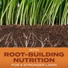 image:imageScotts Turf Builder Grass Seed Bermudagrass  Lawn Seed with Grass Fertilizer and Soil Improver DroughtTolerant Covers up to 8000 sq ft 8 lb8 lb