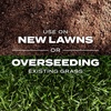image:imageScotts Turf Builder Grass Seed Southern Gold Mix for Tall Fescue Lawns  Tall Fescue Grass Seed Plus Lawn Fertilizer and Soil Improver Covers Up to 1400 sq ft 56 lb56 lb