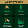 image:imageScotts Turf Builder Grass Seed Southern Gold Mix for Tall Fescue Lawns  Tall Fescue Grass Seed Plus Lawn Fertilizer and Soil Improver Covers Up to 1400 sq ft 56 lb375 lb