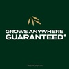 image:imageScotts Turf Builder Grass Seed Southern Gold Mix for Tall Fescue Lawns  Tall Fescue Grass Seed Plus Lawn Fertilizer and Soil Improver Covers Up to 1400 sq ft 56 lb10 lb
