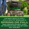 image:imageScotts Turf Builder Grass Seed Southern Gold Mix for Tall Fescue Lawns  Tall Fescue Grass Seed Plus Lawn Fertilizer and Soil Improver Covers Up to 1400 sq ft 56 lb16 lb