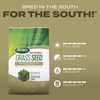 image:imageScotts Turf Builder Grass Seed Southern Gold Mix for Tall Fescue Lawns  Tall Fescue Grass Seed Plus Lawn Fertilizer and Soil Improver Covers Up to 1400 sq ft 56 lb56 lb