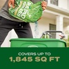 image:imageScotts Turf Builder Grass Seed Southern Gold Mix for Tall Fescue Lawns  Tall Fescue Grass Seed Plus Lawn Fertilizer and Soil Improver Covers Up to 1400 sq ft 56 lb56 lb