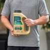 image:imageScotts Turf Builder Grass Seed Southern Gold Mix for Tall Fescue Lawns  Tall Fescue Grass Seed Plus Lawn Fertilizer and Soil Improver Covers Up to 1400 sq ft 56 lb375 lb