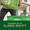 image:imageScotts Turf Builder Grass Seed Southern Gold Mix for Tall Fescue Lawns  Tall Fescue Grass Seed Plus Lawn Fertilizer and Soil Improver Covers Up to 1400 sq ft 56 lb16 lb