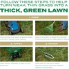 image:imageScotts Turf Builder Grass Seed Southern Gold Mix for Tall Fescue Lawns  Tall Fescue Grass Seed Plus Lawn Fertilizer and Soil Improver Covers Up to 1400 sq ft 56 lb40 lb