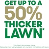 image:imageScotts Turf Builder Grass Seed Southern Gold Mix for Tall Fescue Lawns  Tall Fescue Grass Seed Plus Lawn Fertilizer and Soil Improver Covers Up to 1400 sq ft 56 lb40 lb
