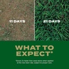 image:imageScotts Turf Builder Grass Seed Southern Gold Mix for Tall Fescue Lawns  Tall Fescue Grass Seed Plus Lawn Fertilizer and Soil Improver Covers Up to 1400 sq ft 56 lb56 lb