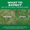 image:imageScotts Turf Builder Grass Seed Southern Gold Mix for Tall Fescue Lawns  Tall Fescue Grass Seed Plus Lawn Fertilizer and Soil Improver Covers Up to 1400 sq ft 56 lb40 lb
