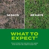image:imageScotts Turf Builder Rapid Grass Bermudagrass Grass Seed with Fertilizer for Full Green Grass in Tough Conditions 1 lb1 lb