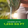 image:imageScotts Turf Builder Rapid Grass Bermudagrass Grass Seed with Fertilizer for Full Green Grass in Tough Conditions 1 lb1 lb