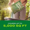 image:imageScotts Turf Builder Rapid Grass Bermudagrass Grass Seed with Fertilizer for Full Green Grass in Tough Conditions 1 lb4 lb