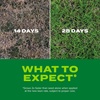 image:imageScotts Turf Builder Rapid Grass Bermudagrass Grass Seed with Fertilizer for Full Green Grass in Tough Conditions 1 lb4 lb