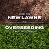 image:imageScotts Turf Builder Rapid Grass Bermudagrass Grass Seed with Fertilizer for Full Green Grass in Tough Conditions 1 lb8 lb