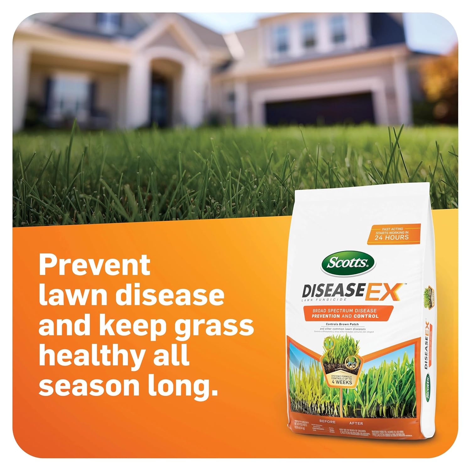 image:imageScotts DiseaseEx Lawn Fungicide for Lawn Care  Controls and Prevents Brown Patch Pythium Blight and More as Listed Treats Up to 5000 sq ft 10 lbs5 000 sq ft 2Pack