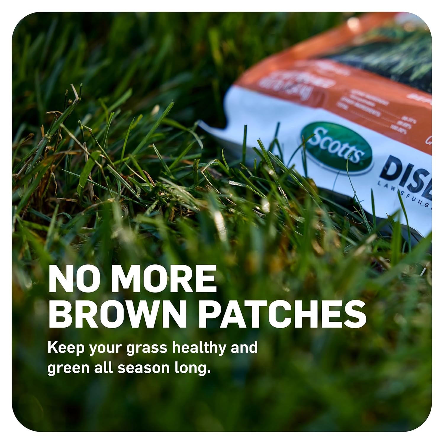 image:imageScotts DiseaseEx Lawn Fungicide for Lawn Care  Controls and Prevents Brown Patch Pythium Blight and More as Listed Treats Up to 5000 sq ft 10 lbs5 000 sq ft 2Pack