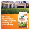 image:imageScotts DiseaseEx Lawn Fungicide for Lawn Care  Controls and Prevents Brown Patch Pythium Blight and More as Listed Treats Up to 5000 sq ft 10 lbs5 000 sq ft