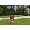 image:imageScotts GrubEx1 Season Long Grub Killer 5000 sq ft10 000 sq ft pack of 2