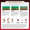 image:imageScotts GrubEx1 Season Long Grub Killer 5000 sq ft10 000 sq ft pack of 2