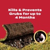 image:imageScotts GrubEx1 Season Long Grub Killer 5000 sq ft5 000 sq ft pack of 2