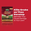 image:imageScotts GrubEx1 Season Long Grub Killer 5000 sq ft5 000 sq ft pack of 2