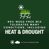 image:imageScotts Kentucky 31 Grass Seed Mix  Premium Lawn Grass Seed Covers Up to 5000 sq ft 20 lb20 lb