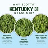image:imageScotts Kentucky 31 Grass Seed Mix  Premium Lawn Grass Seed Covers Up to 5000 sq ft 20 lb40 lb