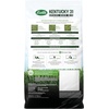 image:imageScotts Kentucky 31 Grass Seed Mix  Premium Lawn Grass Seed Covers Up to 5000 sq ft 20 lb7 lb