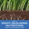 image:imageScotts Turf Builder Grass Seed Sun and Shade Mix  Grass Seed Plus Lawn Fertilizer and Soil Improver Covers Up to 2240 sq ft 56 lb32 lb