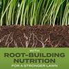 image:imageScotts Turf Builder Grass Seed Tall Fescue Mix  Durable to Resist Harsh Conditions Lawn Seed Grass Fertilizer amp Soil Improver Covers up to 1400 sq ft 56 lb16 lb