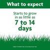 image:imageScotts Turf Builder Grass Seed Tall Fescue Mix  Durable to Resist Harsh Conditions Lawn Seed Grass Fertilizer amp Soil Improver Covers up to 1400 sq ft 56 lb50 lb