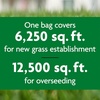 image:imageScotts Turf Builder Grass Seed Tall Fescue Mix  Durable to Resist Harsh Conditions Lawn Seed Grass Fertilizer amp Soil Improver Covers up to 1400 sq ft 56 lb50 lb