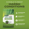 image:imageScotts Turf Builder Grass Seed Tall Fescue Mix  Durable to Resist Harsh Conditions Lawn Seed Grass Fertilizer amp Soil Improver Covers up to 1400 sq ft 56 lb16 lb