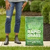image:imageScotts Turf Builder Rapid Grass Tall Fescue Mix  Combination Grass Seed and Fertilizer for Lawns Lawn Seed That Grows in Just Weeks 56 lbs16 lb