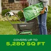 image:imageScotts Turf Builder Rapid Grass Tall Fescue Mix  Combination Grass Seed and Fertilizer for Lawns Lawn Seed That Grows in Just Weeks 56 lbs16 lb