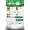 image:imageScotts Turf Builder Rapid Grass Tall Fescue Mix  Combination Grass Seed and Fertilizer for Lawns Lawn Seed That Grows in Just Weeks 56 lbs16 lb