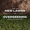 image:imageScotts Turf Builder Rapid Grass Tall Fescue Mix  Combination Grass Seed and Fertilizer for Lawns Lawn Seed That Grows in Just Weeks 56 lbs16 lb