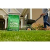 image:imageScotts Turf Builder Rapid Grass Tall Fescue Mix  Combination Grass Seed and Fertilizer for Lawns Lawn Seed That Grows in Just Weeks 56 lbs16 lb