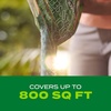 image:imageScotts Turf Builder Rapid Grass Tall Fescue Mix  Combination Grass Seed and Fertilizer for Lawns Lawn Seed That Grows in Just Weeks 56 lbs24 lb Pack of 6