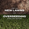 image:imageScotts Turf Builder Rapid Grass Tall Fescue Mix  Combination Grass Seed and Fertilizer for Lawns Lawn Seed That Grows in Just Weeks 56 lbs24 lb Pack of 6