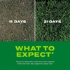 image:imageScotts Turf Builder Rapid Grass Tall Fescue Mix  Combination Grass Seed and Fertilizer for Lawns Lawn Seed That Grows in Just Weeks 56 lbs24 lb Pack of 6