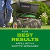 image:imageScotts Turf Builder Rapid Grass Tall Fescue Mix  Combination Grass Seed and Fertilizer for Lawns Lawn Seed That Grows in Just Weeks 56 lbs56 lb