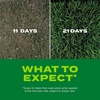 image:imageScotts Turf Builder Rapid Grass Tall Fescue Mix  Combination Grass Seed and Fertilizer for Lawns Lawn Seed That Grows in Just Weeks 56 lbs56 lb