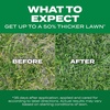 image:imageScotts Turf Builder THICKR Lawn Tall Fescue Mix 12 lb12 lb