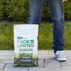 image:imageScotts Turf Builder THICKR Lawn Tall Fescue Mix 12 lb12 lb