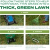 image:imageScotts Turf Builder THICKR Lawn Tall Fescue Mix 12 lb12 lb