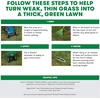 image:imageScotts Turf Builder THICKR Lawn Tall Fescue Mix 12 lb40 lb