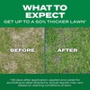 image:imageScotts Turf Builder ThickR Lawn Sun and Shade  Combination Grass Seed Lawn Fertilizer and Soil Improver Thickens Thin Grass Covers 1200 sq ft 12 lb12 lb