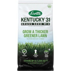 image:imageScotts Kentucky 31 Grass Seed Mix  Premium Lawn Grass Seed Covers Up to 5000 sq ft 20 lb20 lb
