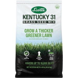 image:imageScotts Kentucky 31 Grass Seed Mix  Premium Lawn Grass Seed Covers Up to 5000 sq ft 20 lb40 lb
